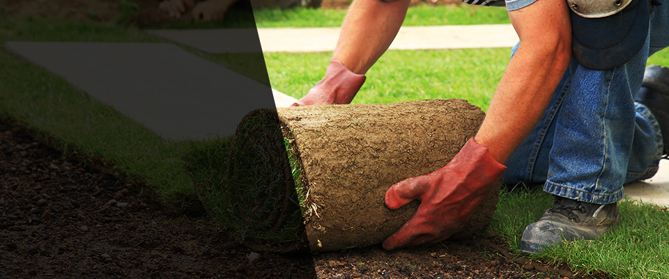 Martins Ferry Landscapers